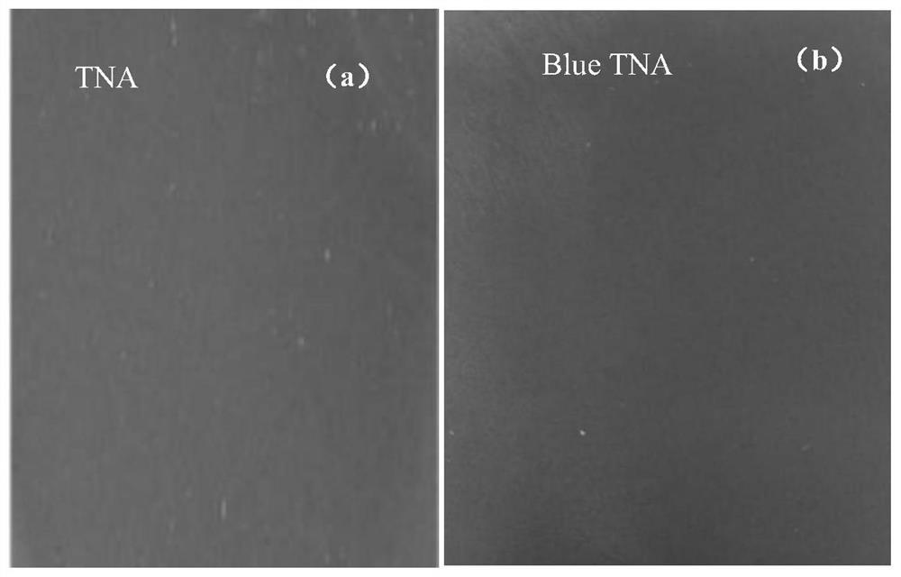 Preparation method of Blue-TiO2/CNT-PbO2 electrode material doped with carbon nanotubes