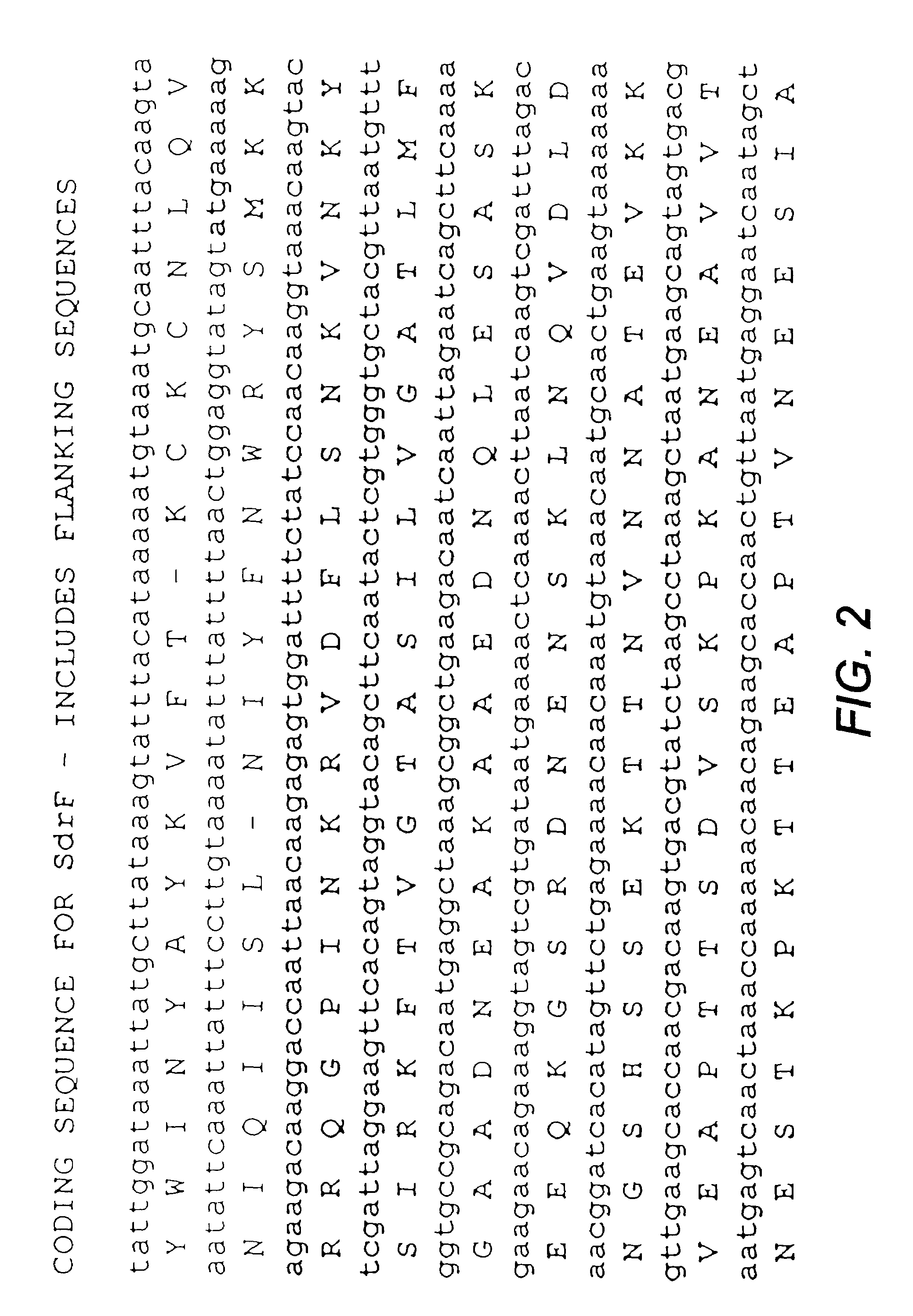 Proteins and polypeptides from coagulase-negative staphylococci