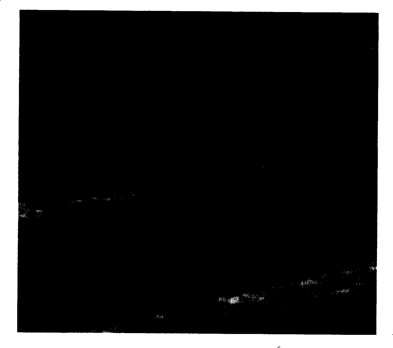 Priority coding after-treatment method and device colorful blood stream imaging