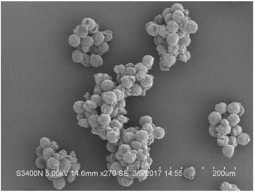 Green preparation method of manganese dioxide