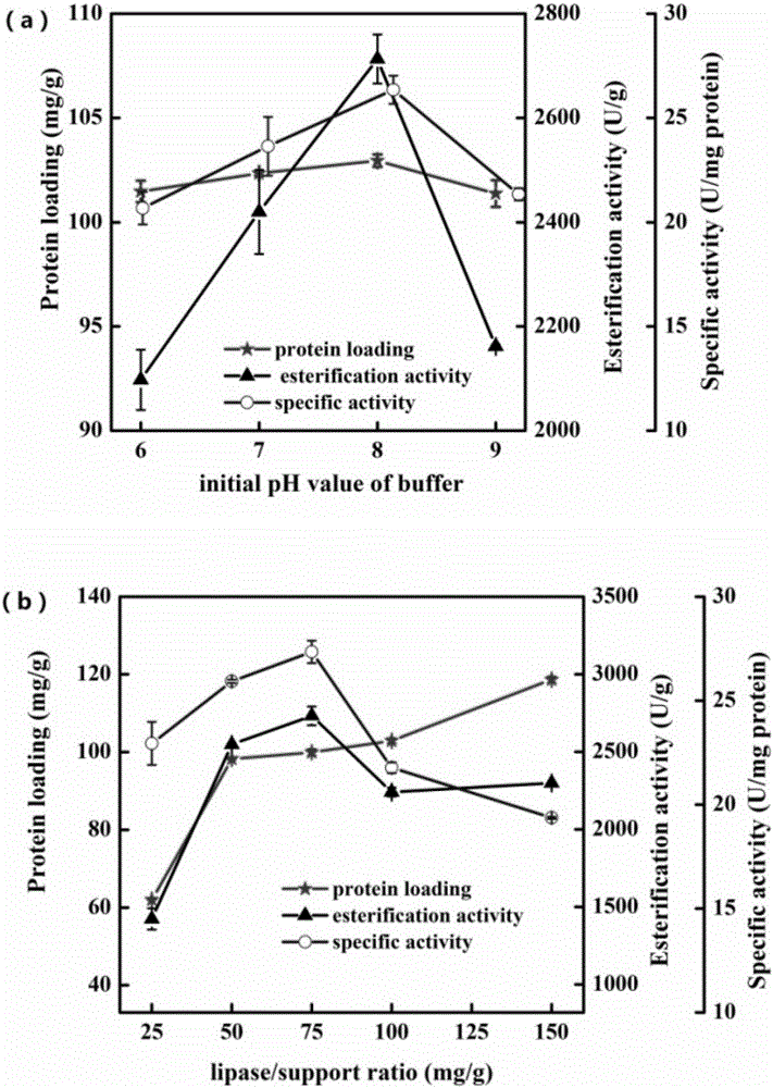 Immobilized lipase, preparation method thereof and application in catalyzed synthesis of glyceride type PUFA