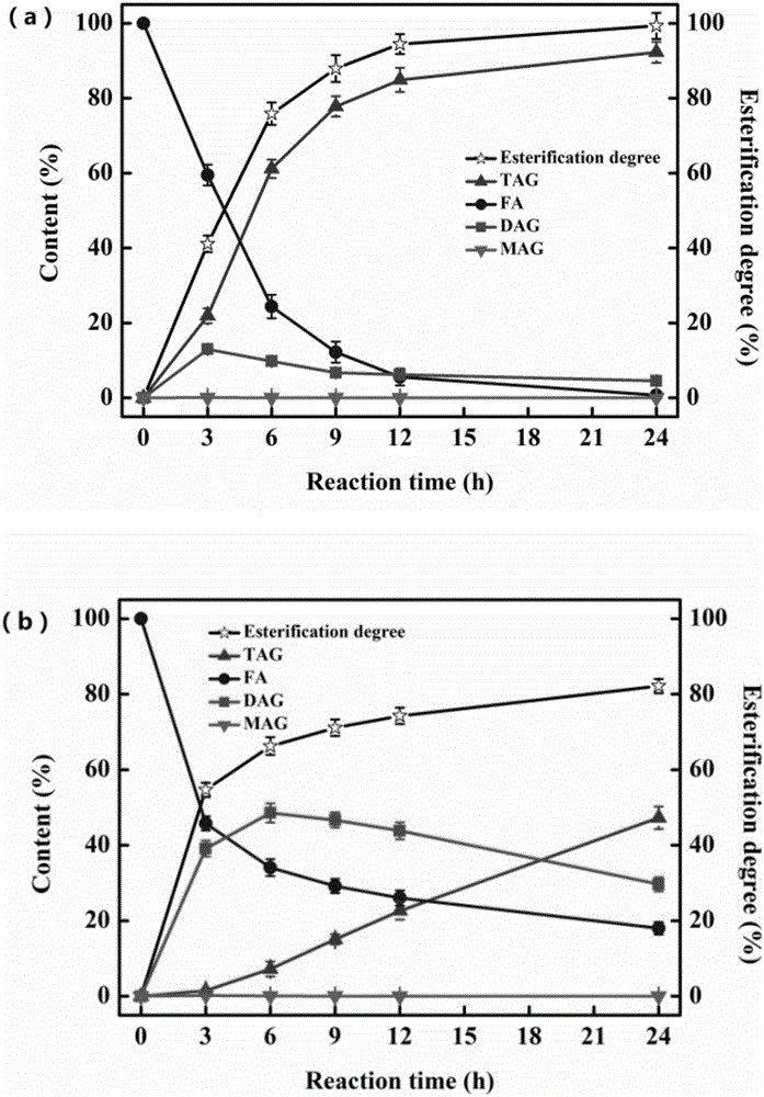 Immobilized lipase, preparation method thereof and application in catalyzed synthesis of glyceride type PUFA