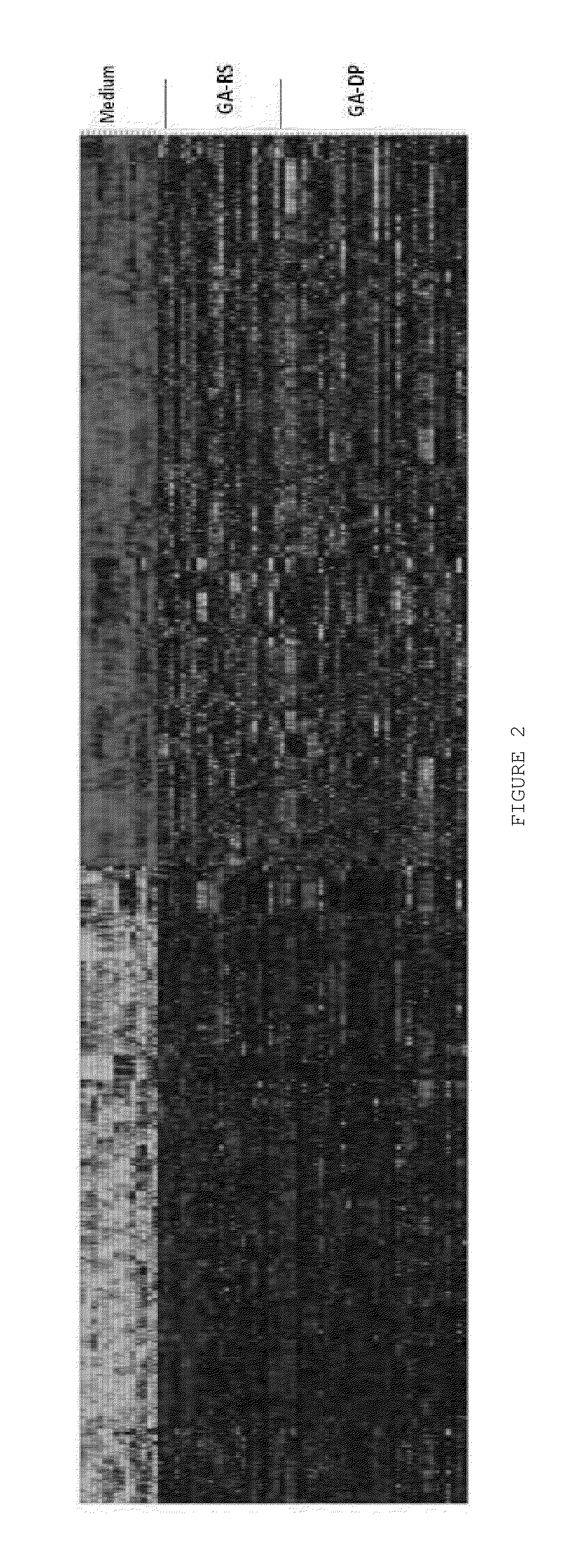 Characterizing a glatiramer acetate related drug product