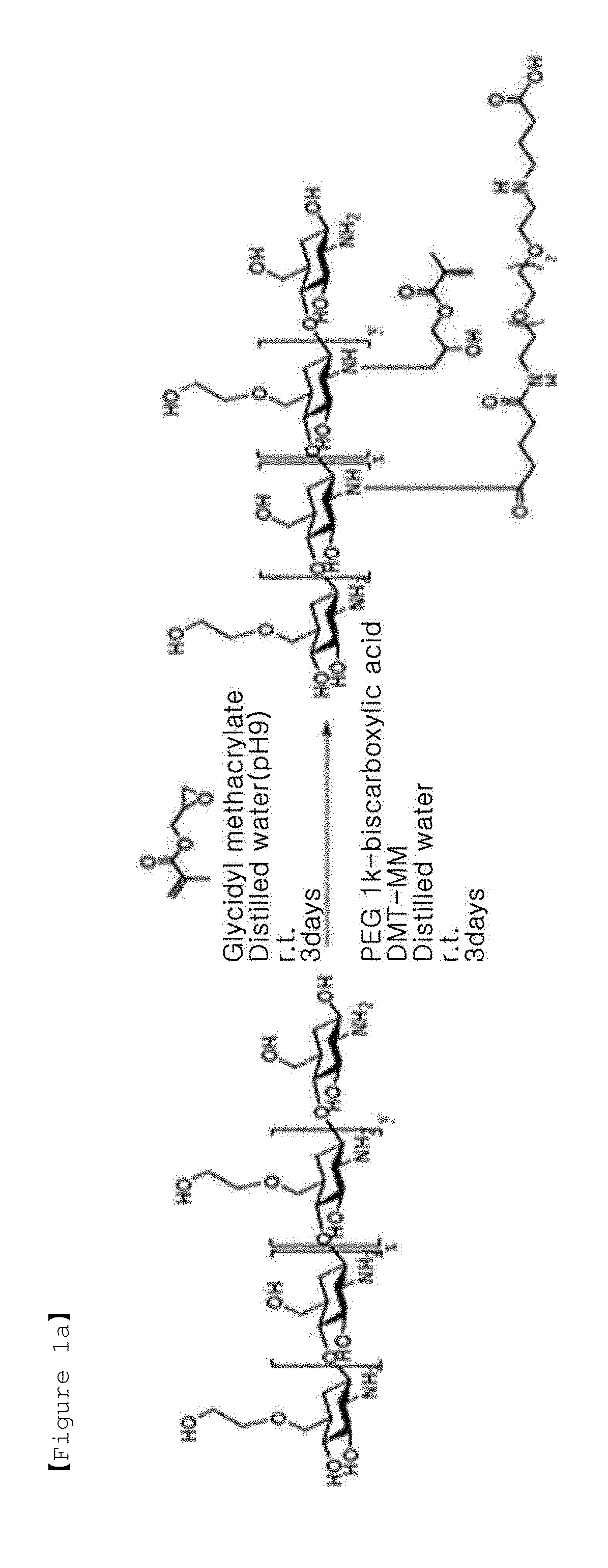 Visible light-curable water-soluble chitosan derivative, chitosan hydrogel, and preparation method therefor