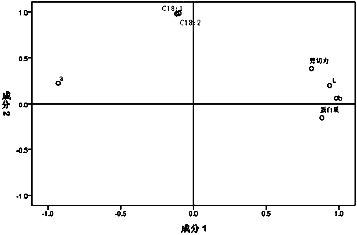 Method for synthetically evaluating quality of saltwater goose and quality evaluation model constructed by using the method