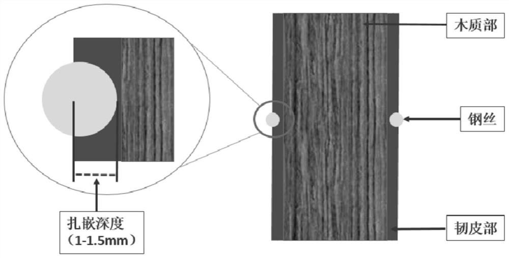 Method for regulating flowering of bougainvillea speetabilis