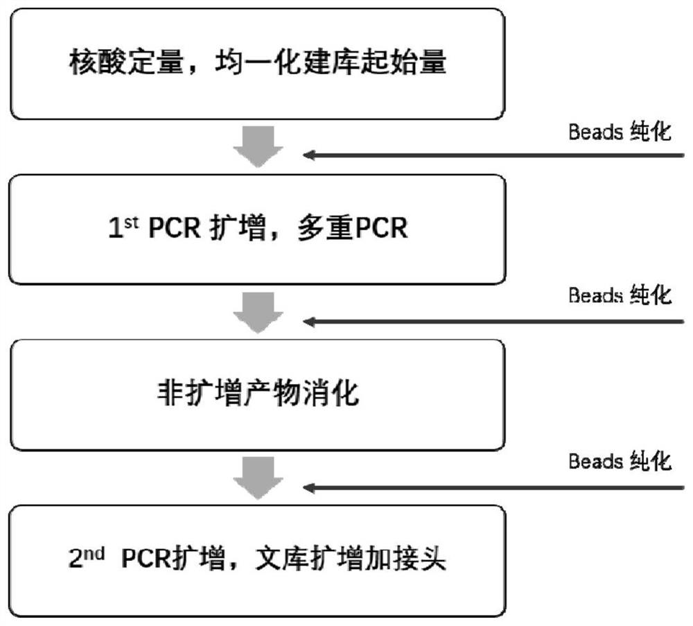 Construction method, primer set and kit of fh sequencing library