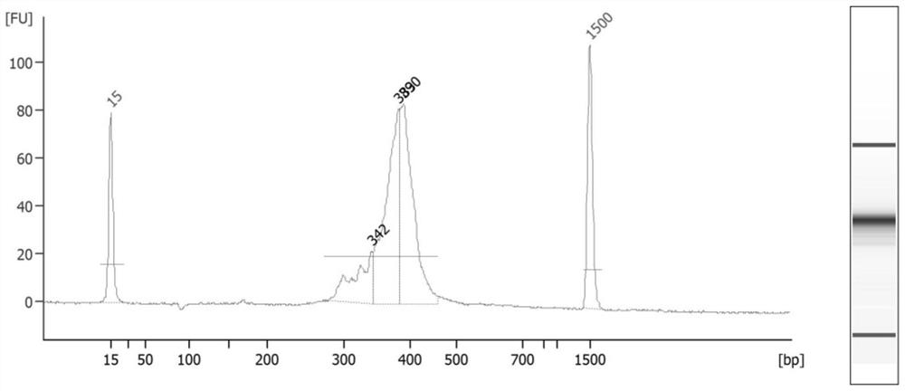 Construction method, primer set and kit of fh sequencing library