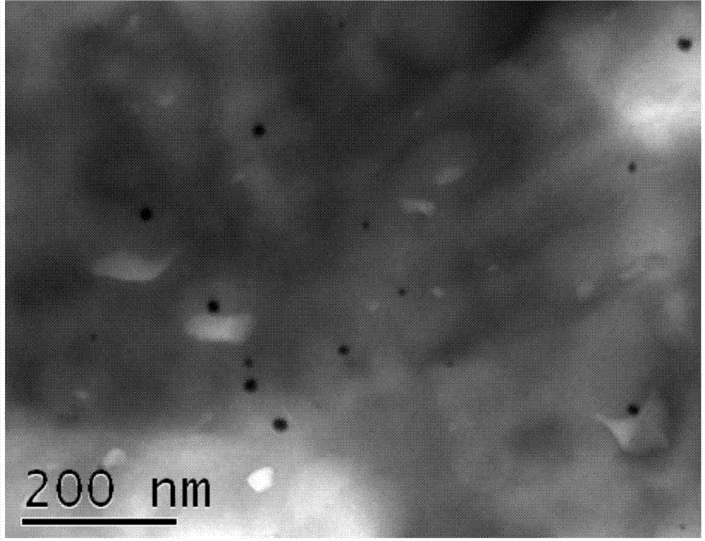 Preparation method of in-situ synthesized nano silver modified PVDF (Polyvinylidene Fluoride) ultrafiltration membrane