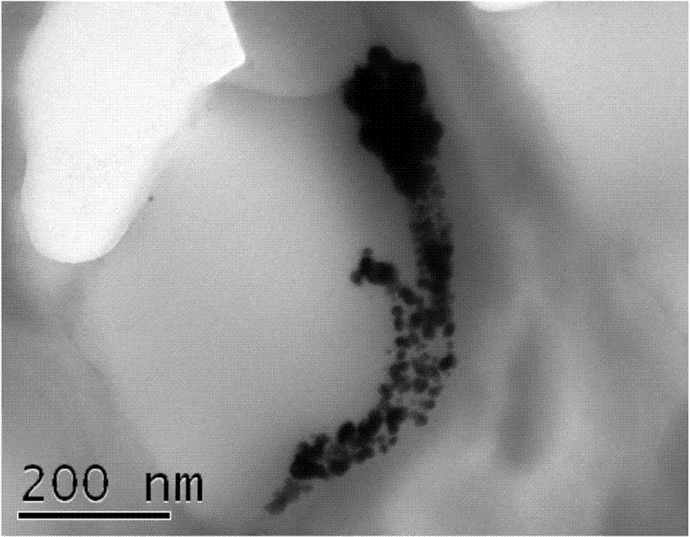 Preparation method of in-situ synthesized nano silver modified PVDF (Polyvinylidene Fluoride) ultrafiltration membrane