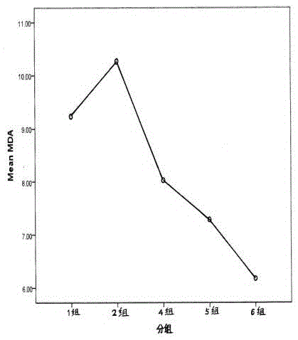 A compound preparation of samara oil with high-efficiency antioxidant function and preparation method thereof