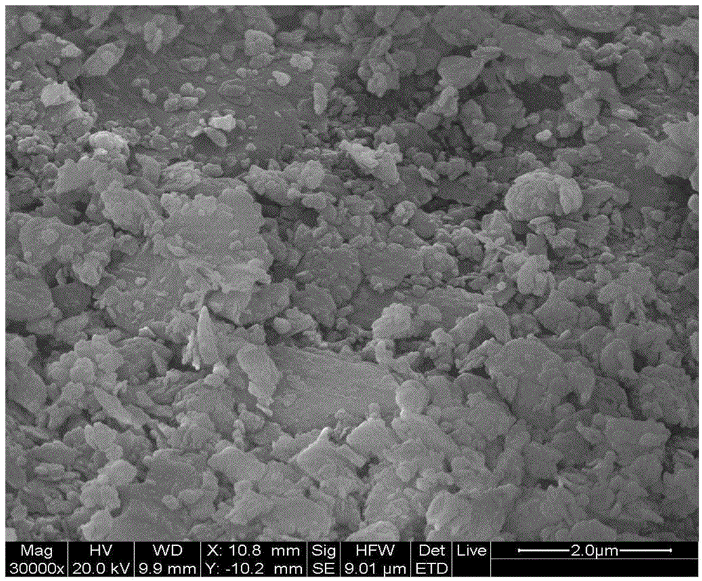 Preparation method of humidity controlling material