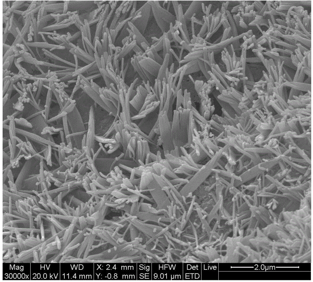 Preparation method of humidity controlling material