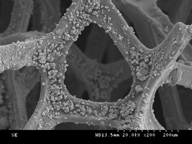 Preparation method of microwave-activated persulfate oxidative degradation catalyst for fluorine-containing wastewater