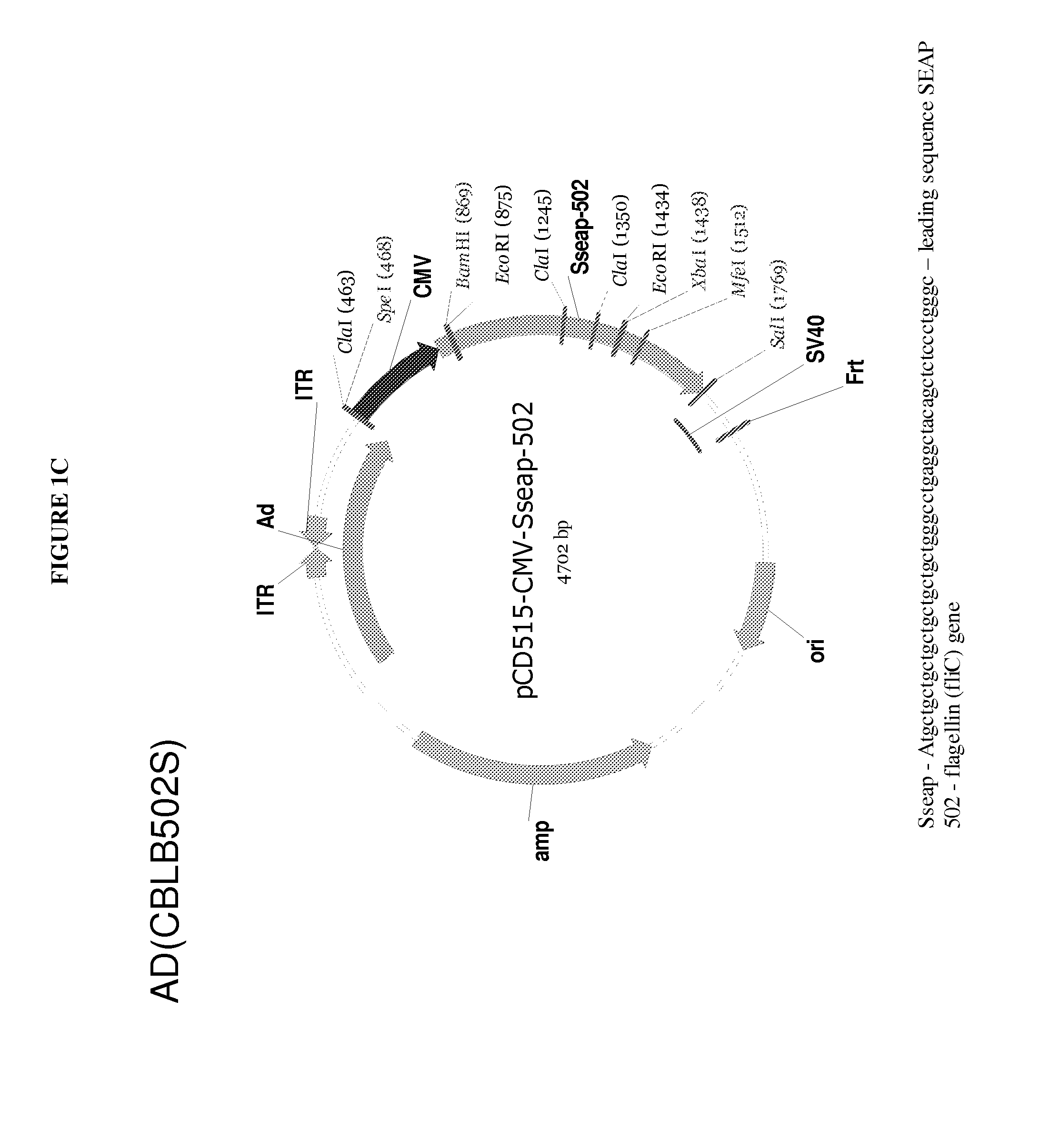 Use of toll-like receptor and agonist for treating cancer