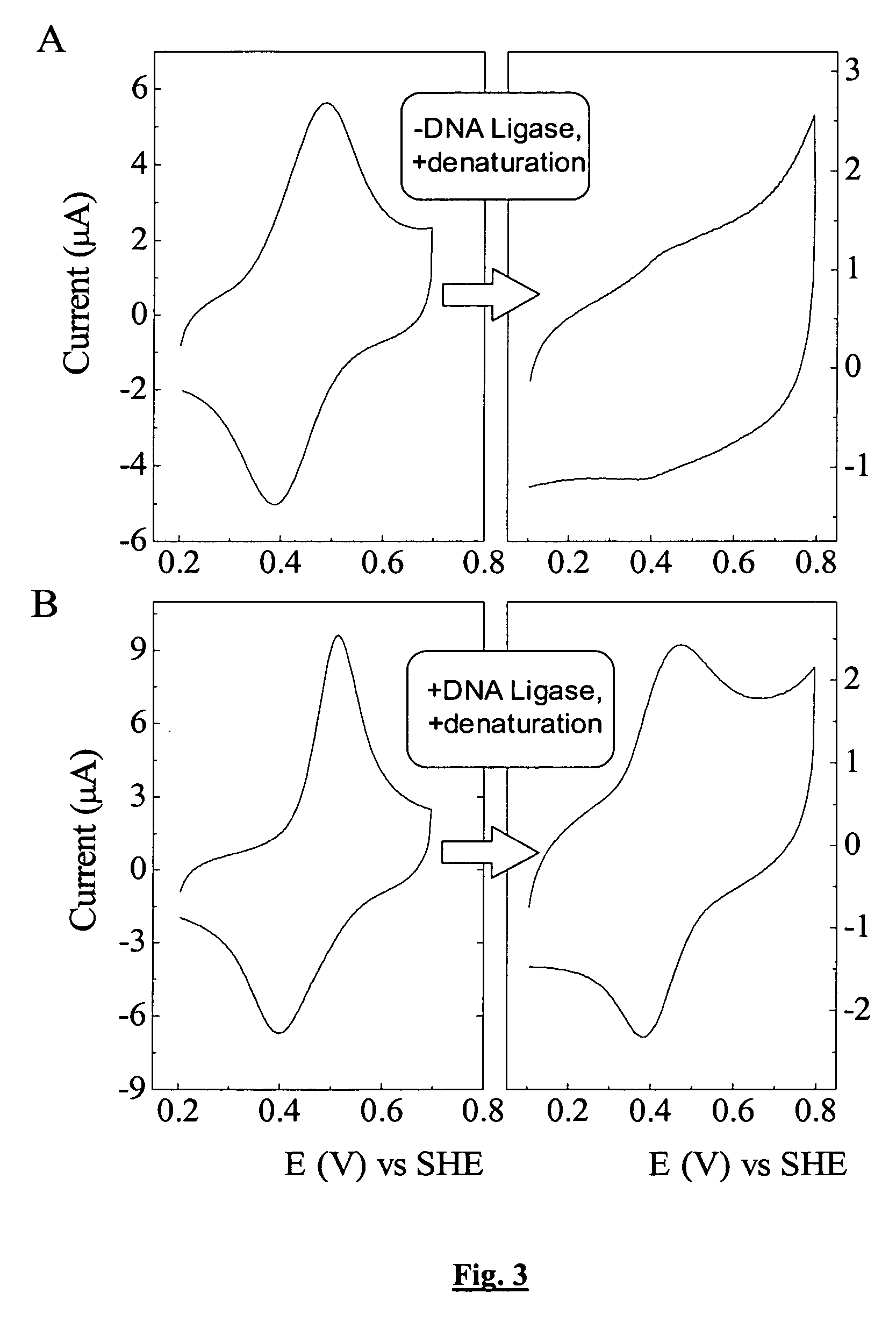 Assay for nucleic acid ligase and nucleic acid nuclease