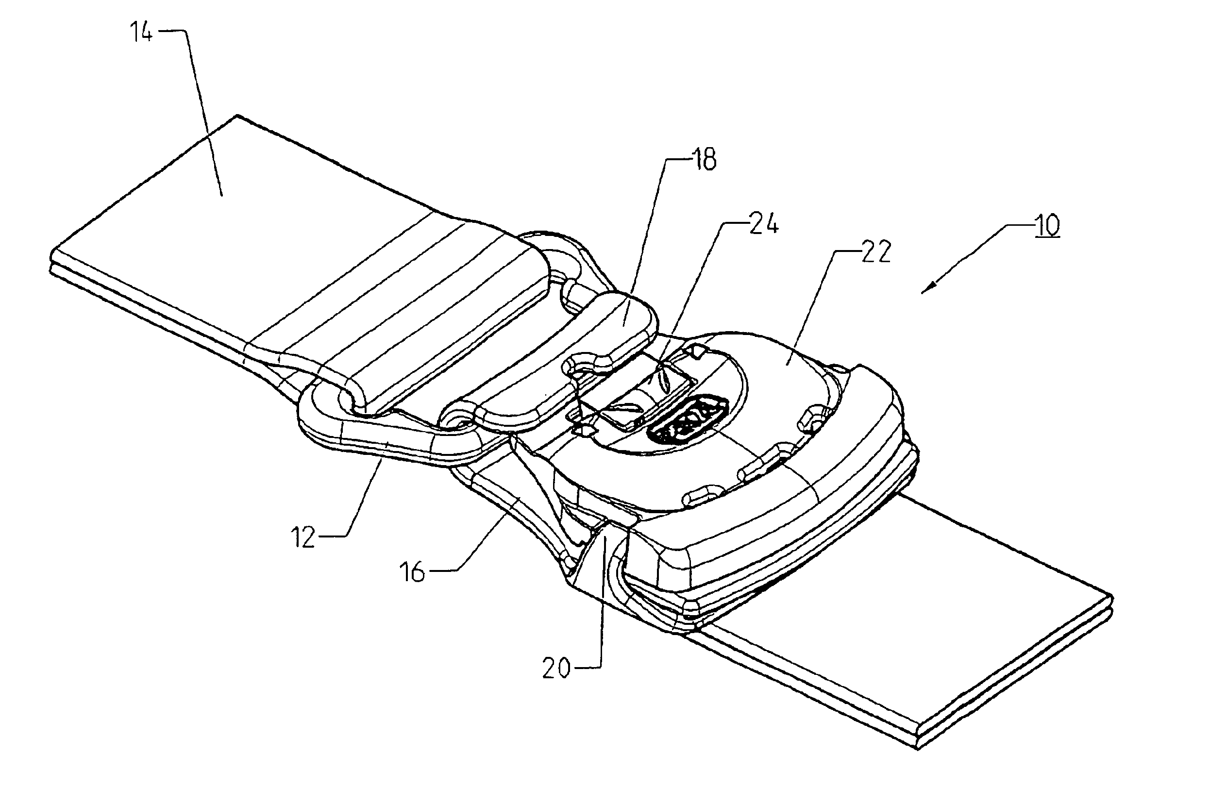 Self-locking fixing loop with strap adjustment