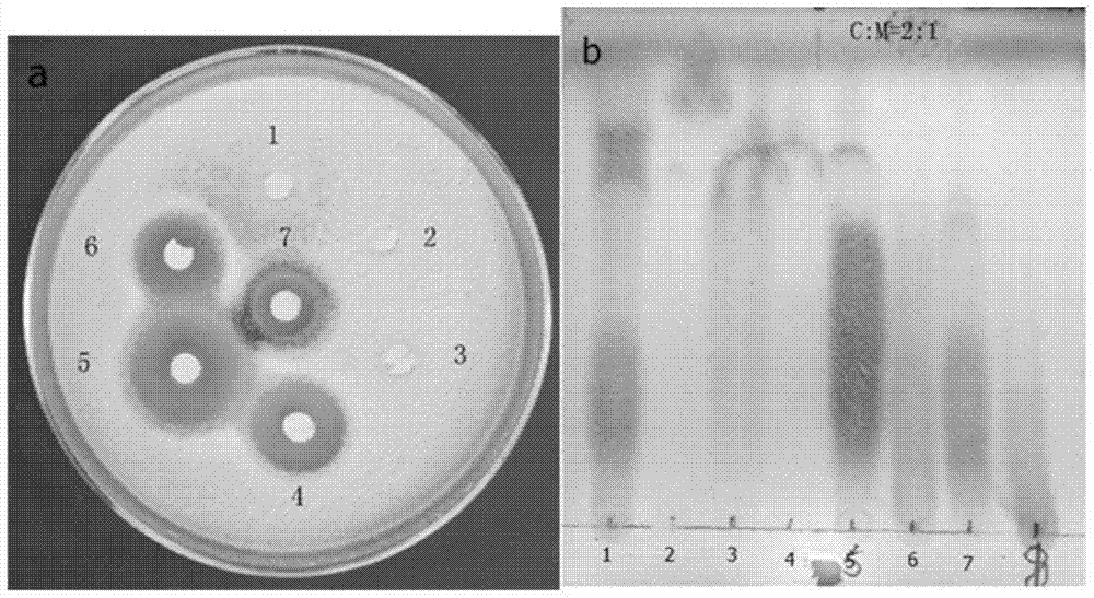 Application of compound h2 in the preparation of lipopeptide antibacterial preparations