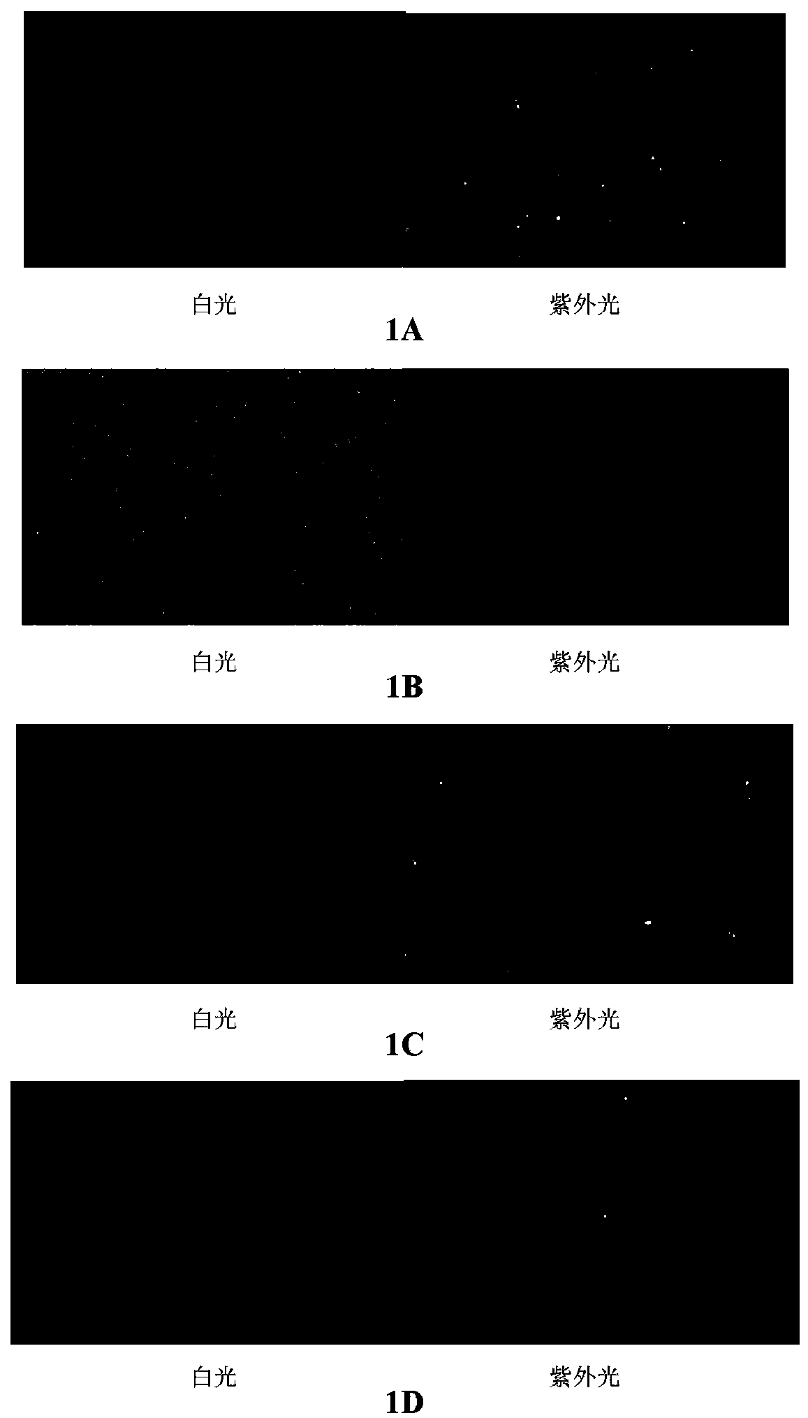 Method for measuring biological activity of human IL-33/ST2 pathway inhibitor