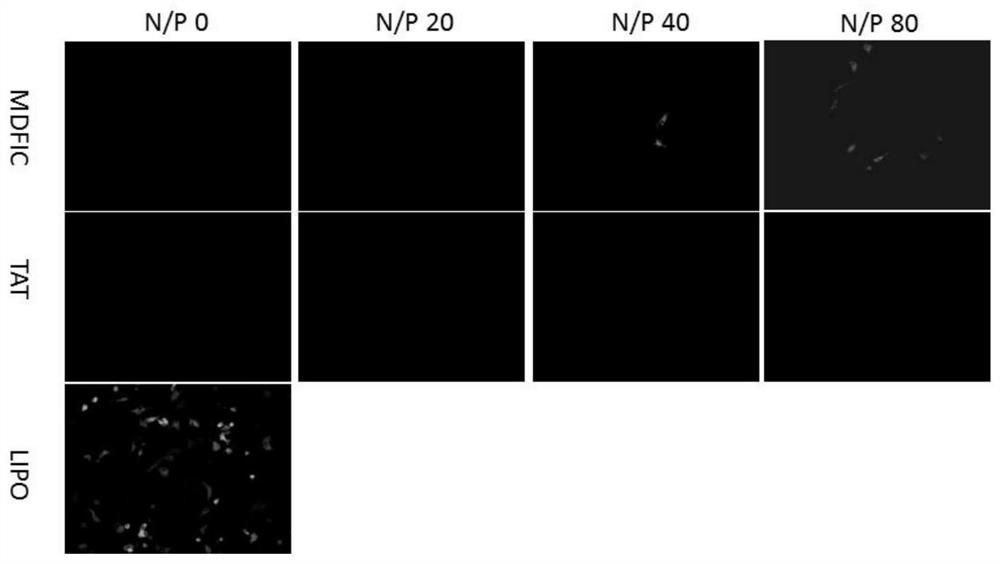 A kind of cell penetrating peptide and its preparation method and application