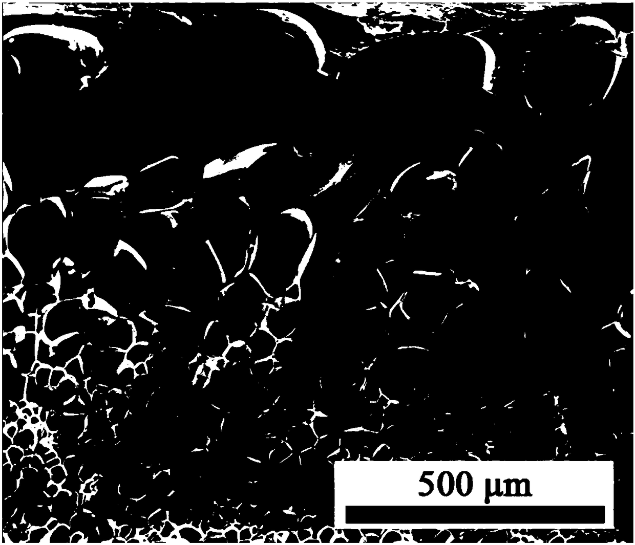 Silicone rubber composite material with gradient bubble structure, and preparation method of silicone rubber composite material