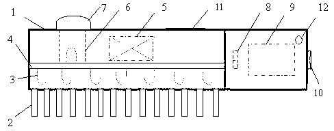 LED (Light-Emitting Diode) multiple-wavelength photon comb