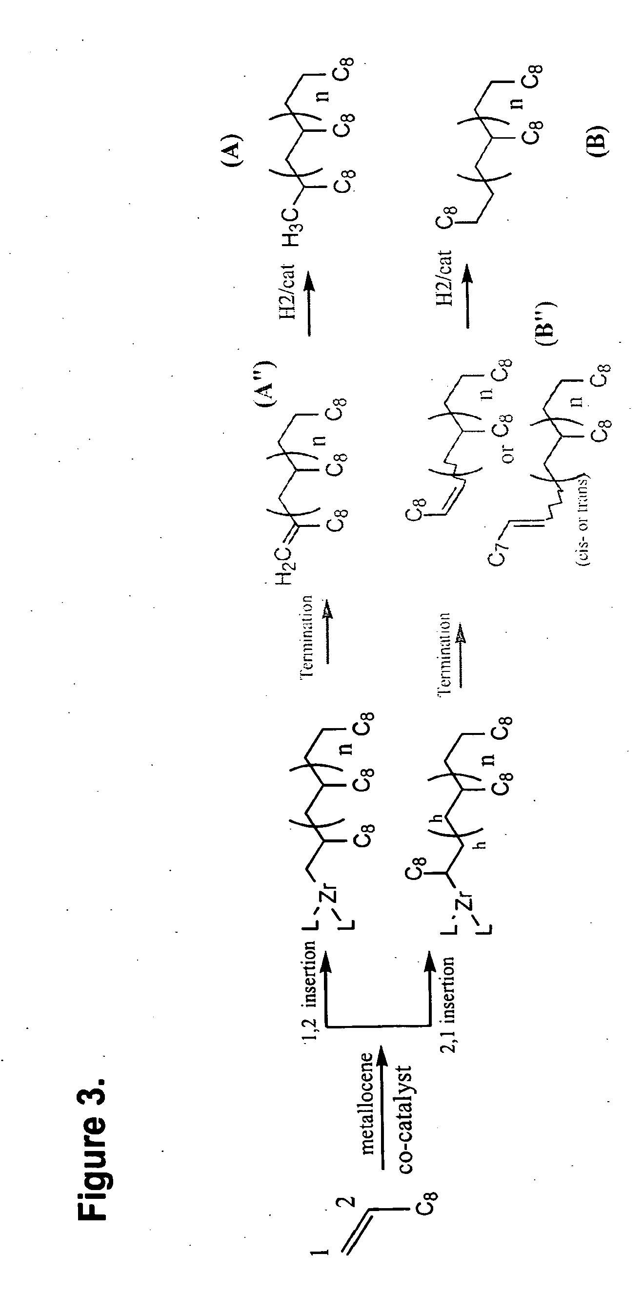 Polyalpha-Olefin Compositions and Processes to Produce the Same