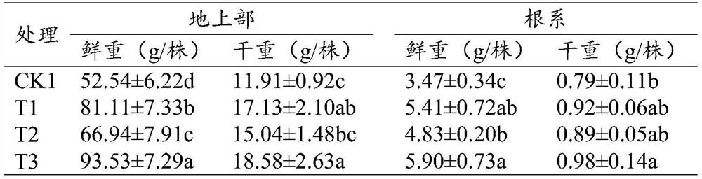 Seed dressing agent for promoting premature germination of peanuts and preparation method of seed dressing agent