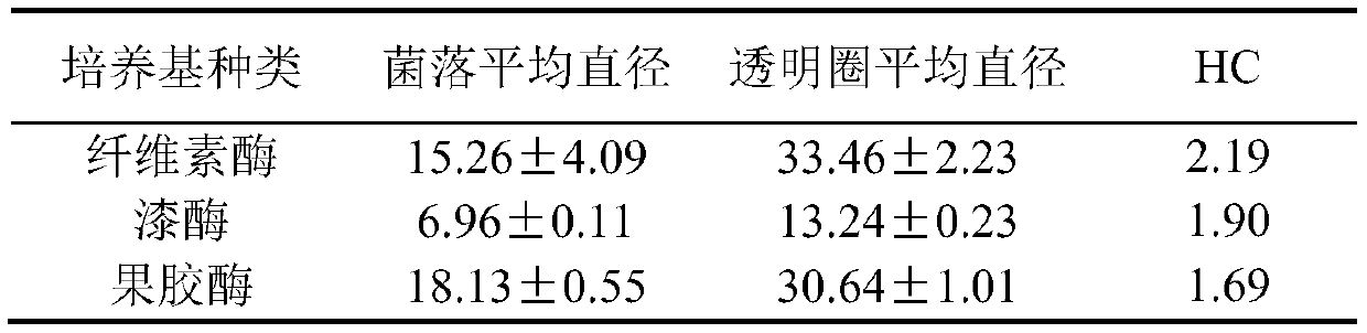 A Cellulase and Laccase-Producing Bacillus and Its Application in Tobacco Sheets