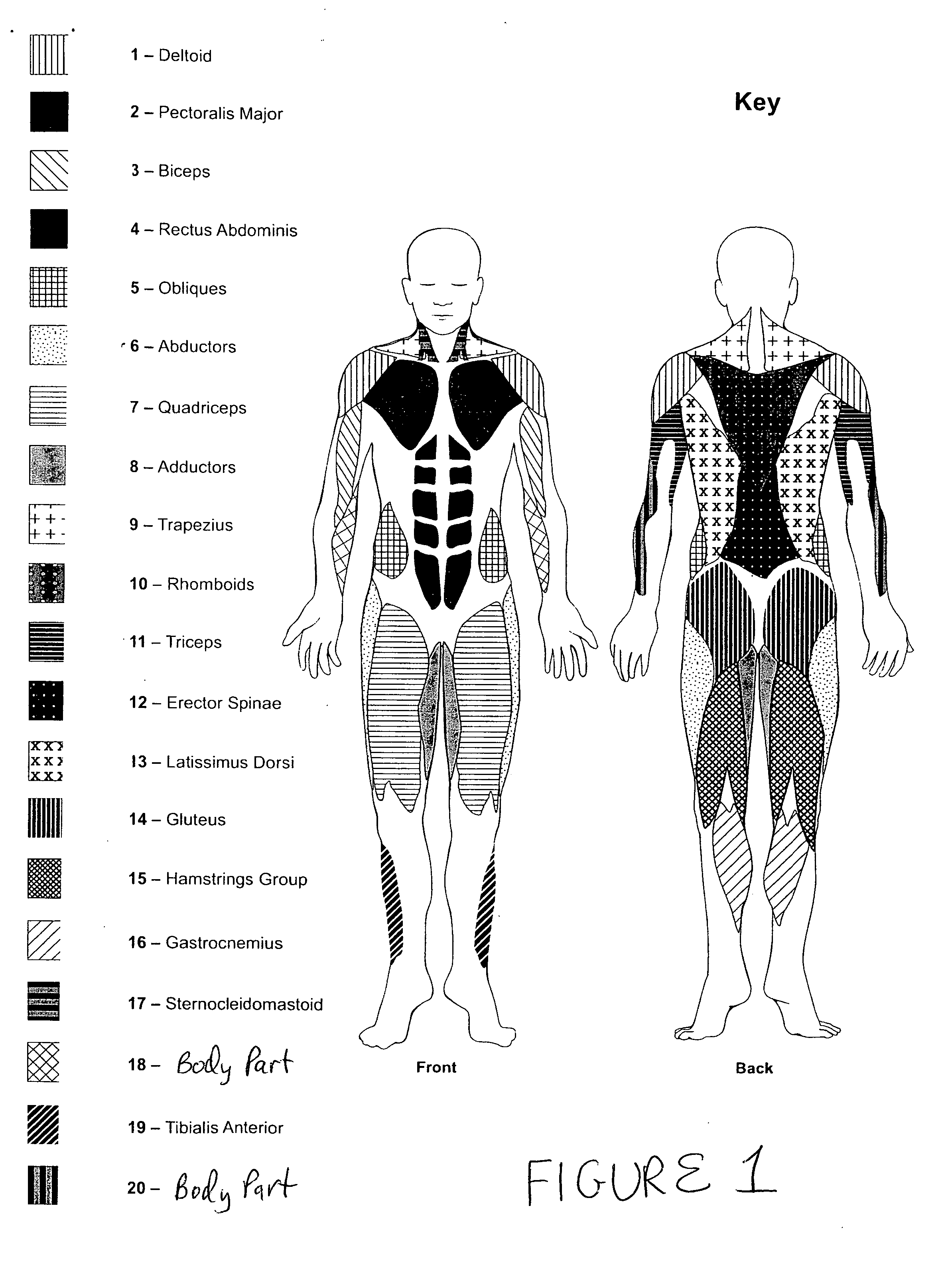 Prompt-based exercise apparatus, system, and method