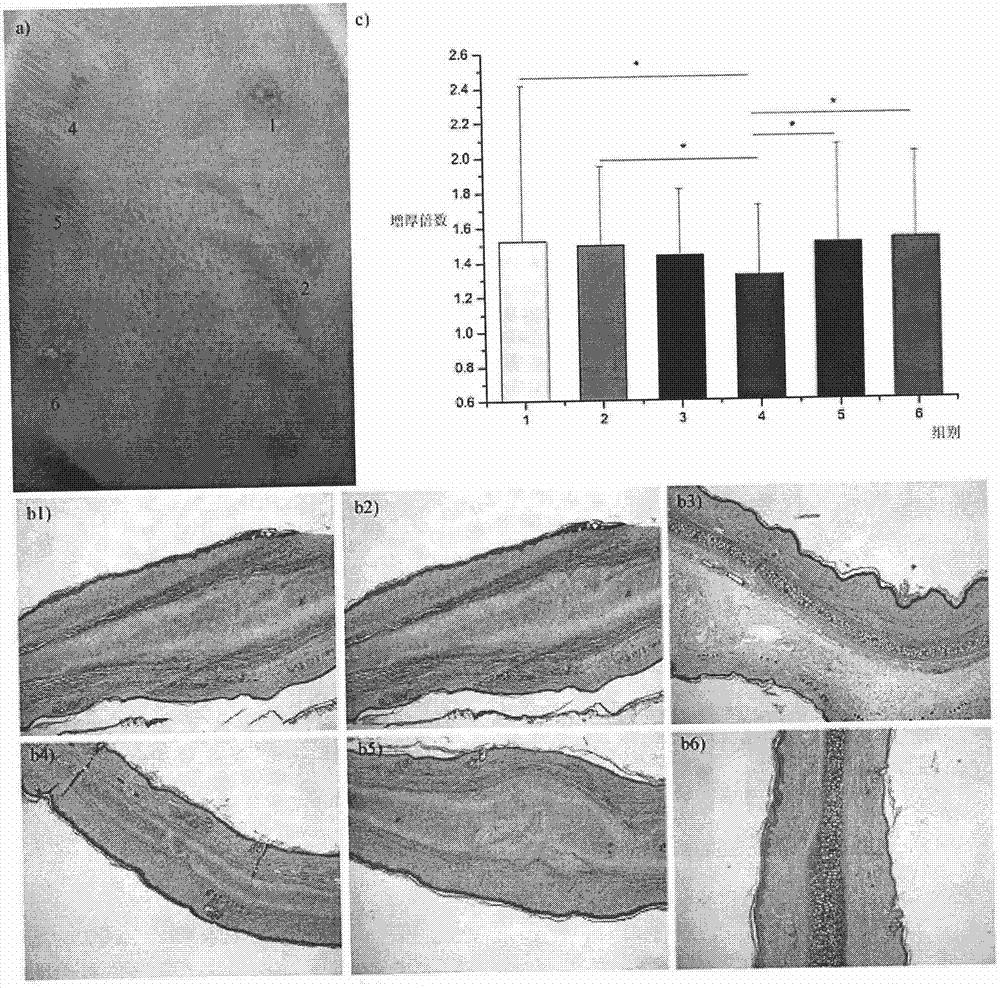 P-oxanone and L-phenylalanine copolymer and application thereof