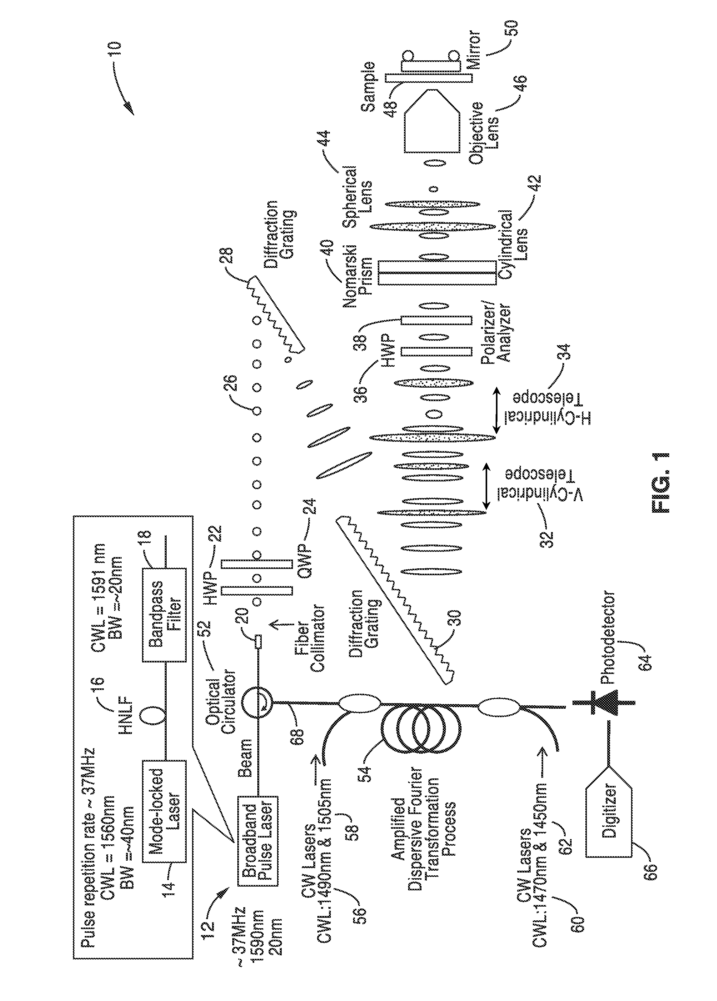 Differential interference contrast serial time encoded amplified microscopy