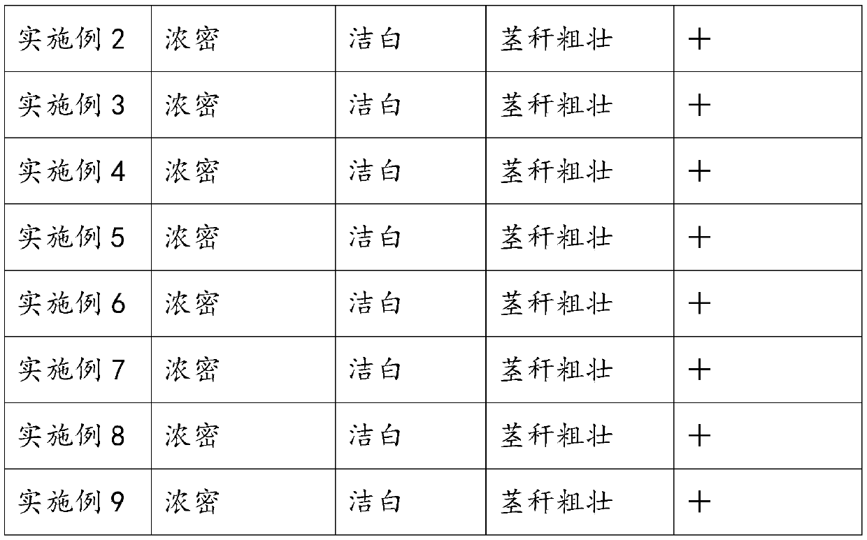 A kind of culture medium of Flammulina velutipes and preparation method thereof