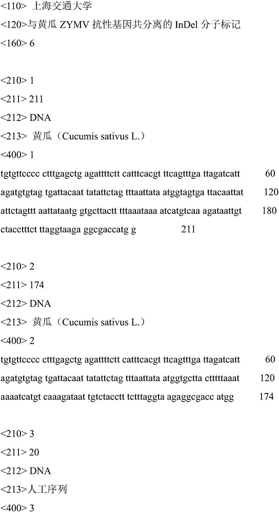 InDel molecular marker co-segregated from ZYMV resistance gene of cucumber