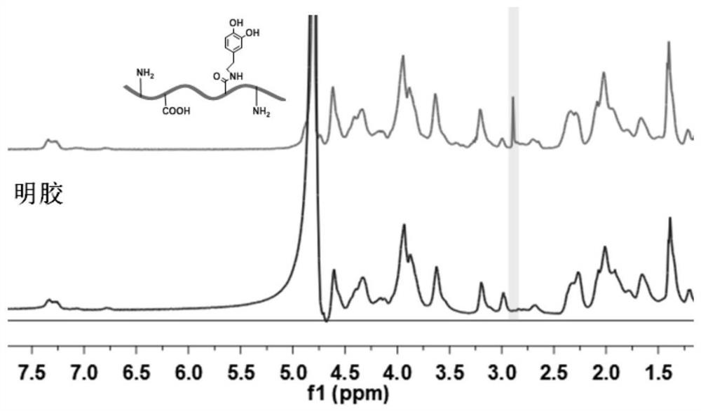 Nano composite porous hydrogel as well as preparation and application thereof