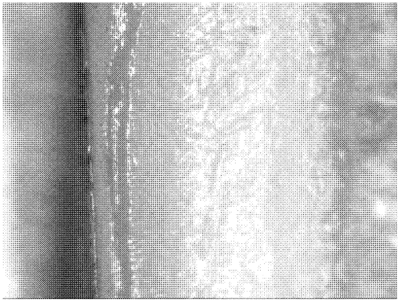 Method for using digital images relevant technology in cartilage mechanical property test