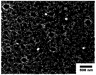 Polysaccharide sulfate antitumor nano preparation and preparation method