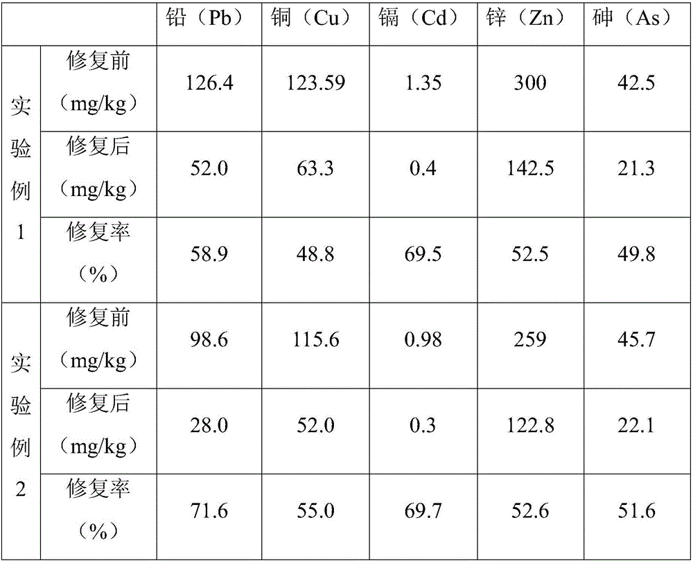 Repair agent for treating compound pollution of heavy metal in soil and preparation method of repair agent