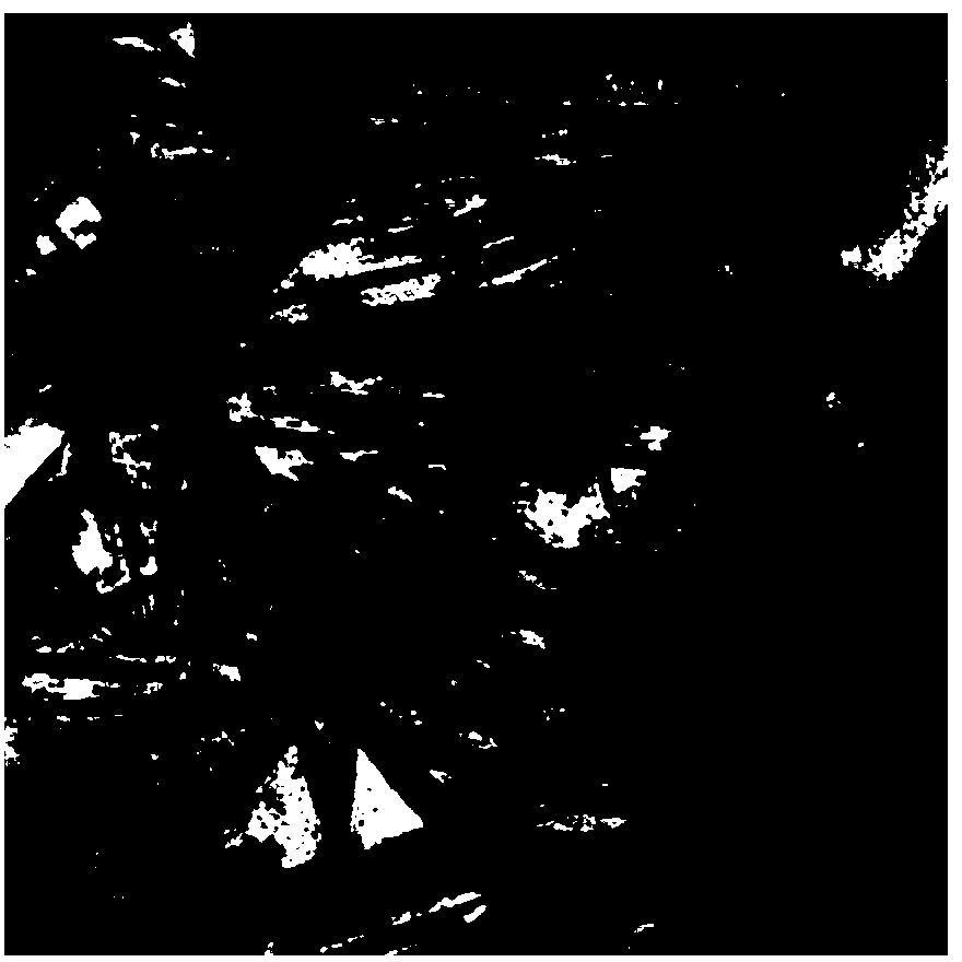 Preparation method of copper sulfide nanowire