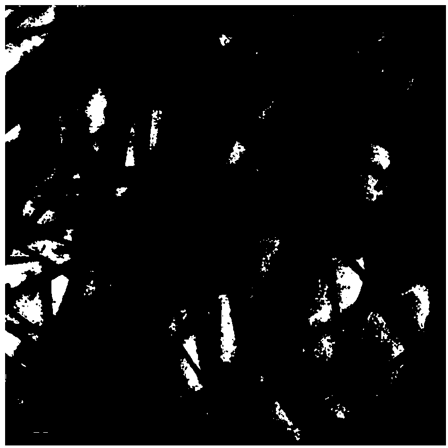 Preparation method of copper sulfide nanowire