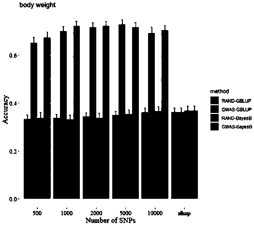 Method for improving aquatic animal whole-genome selective breeding efficiency