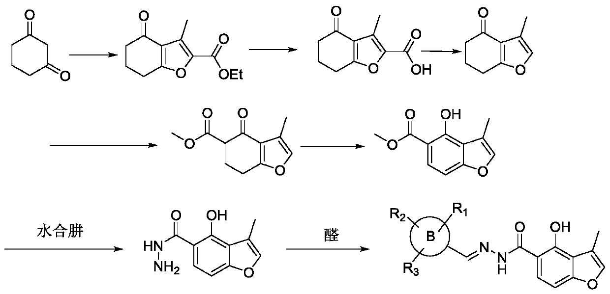 Substituted benzofuroylhydrazone derivatives and preparation method thereof