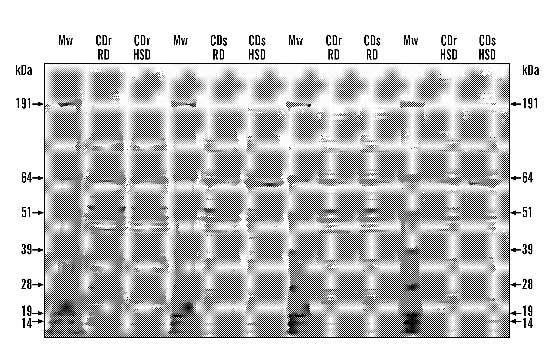 Compositions and methods for diagnosis and treatment of type 2 diabetes