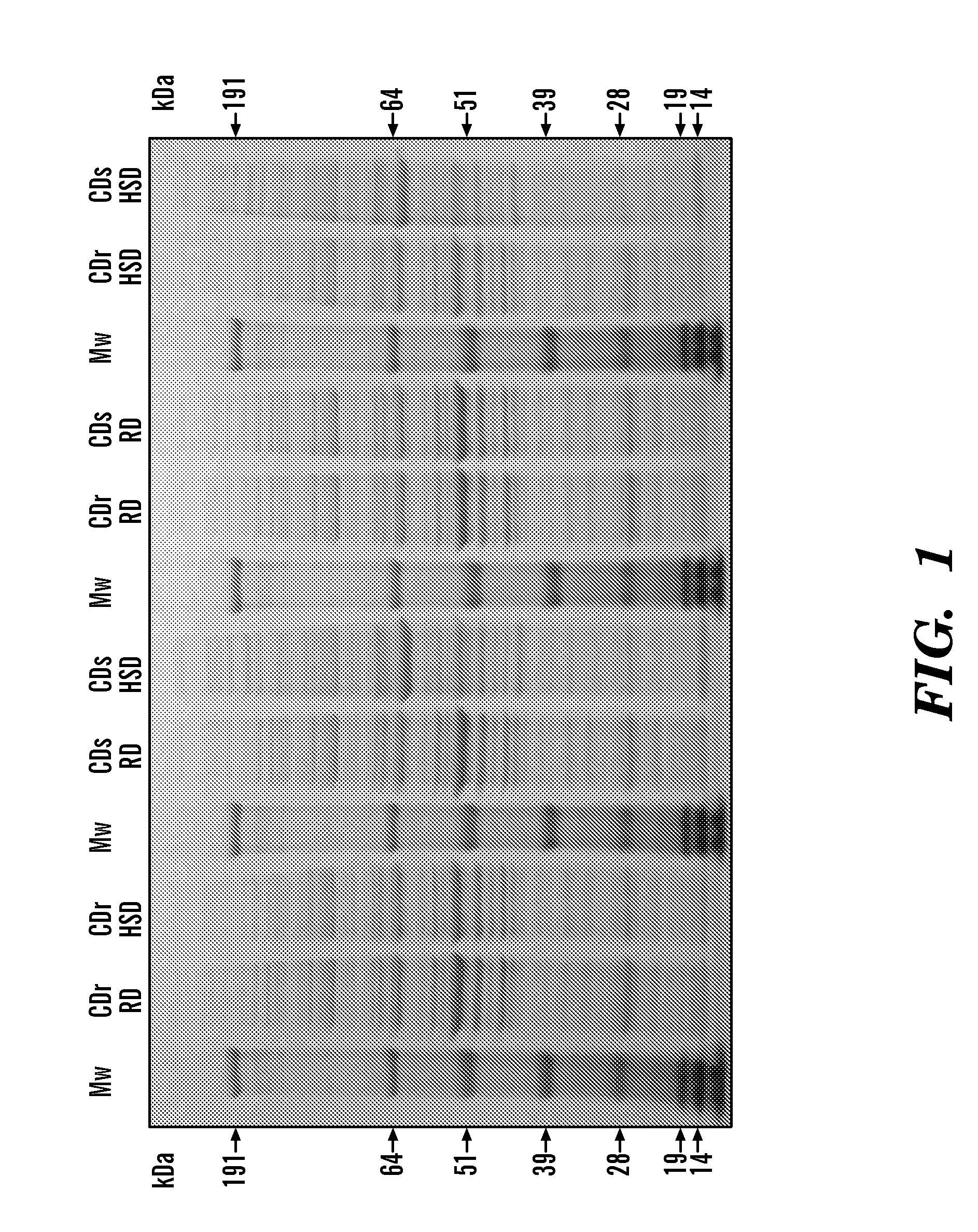 Compositions and methods for diagnosis and treatment of type 2 diabetes