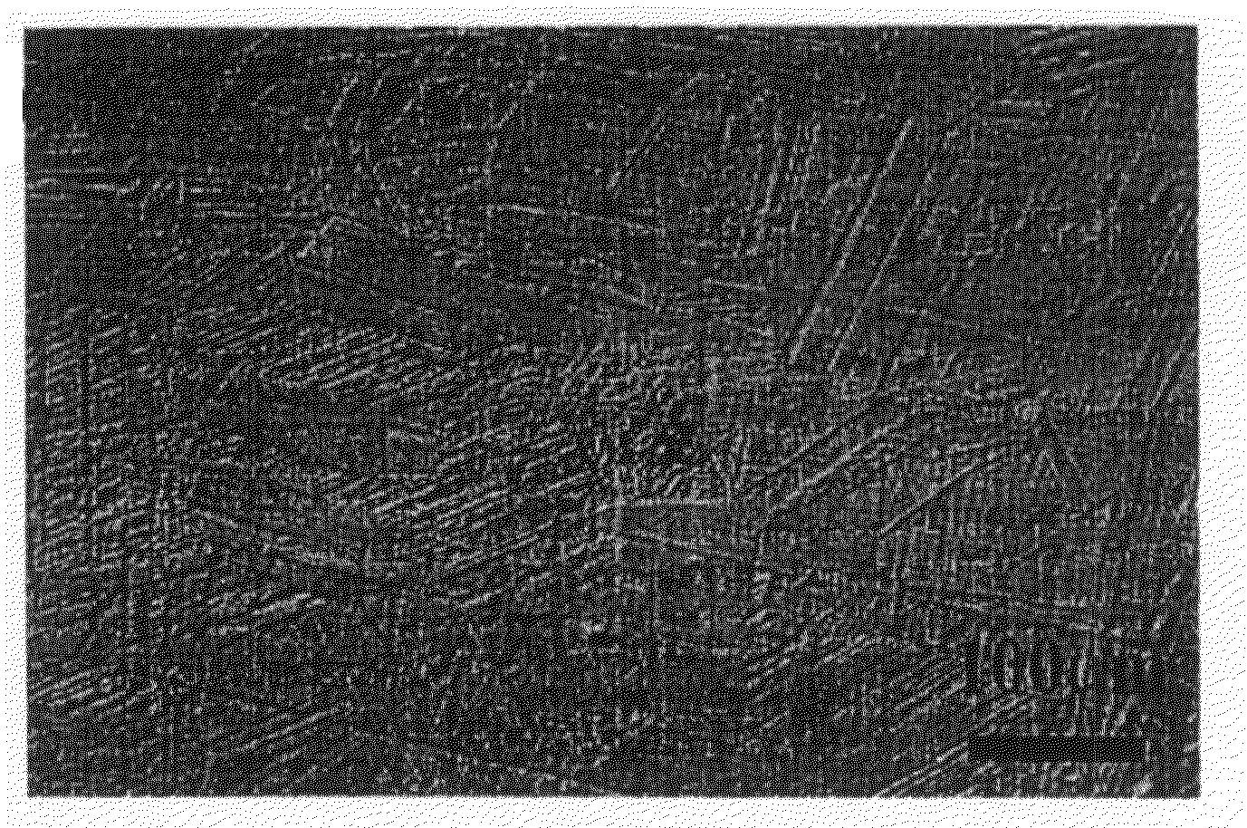 Bio-Co-Cr-Mo Alloy With Ion Elution Suppressed by Structure Control, And Process For Producing Same