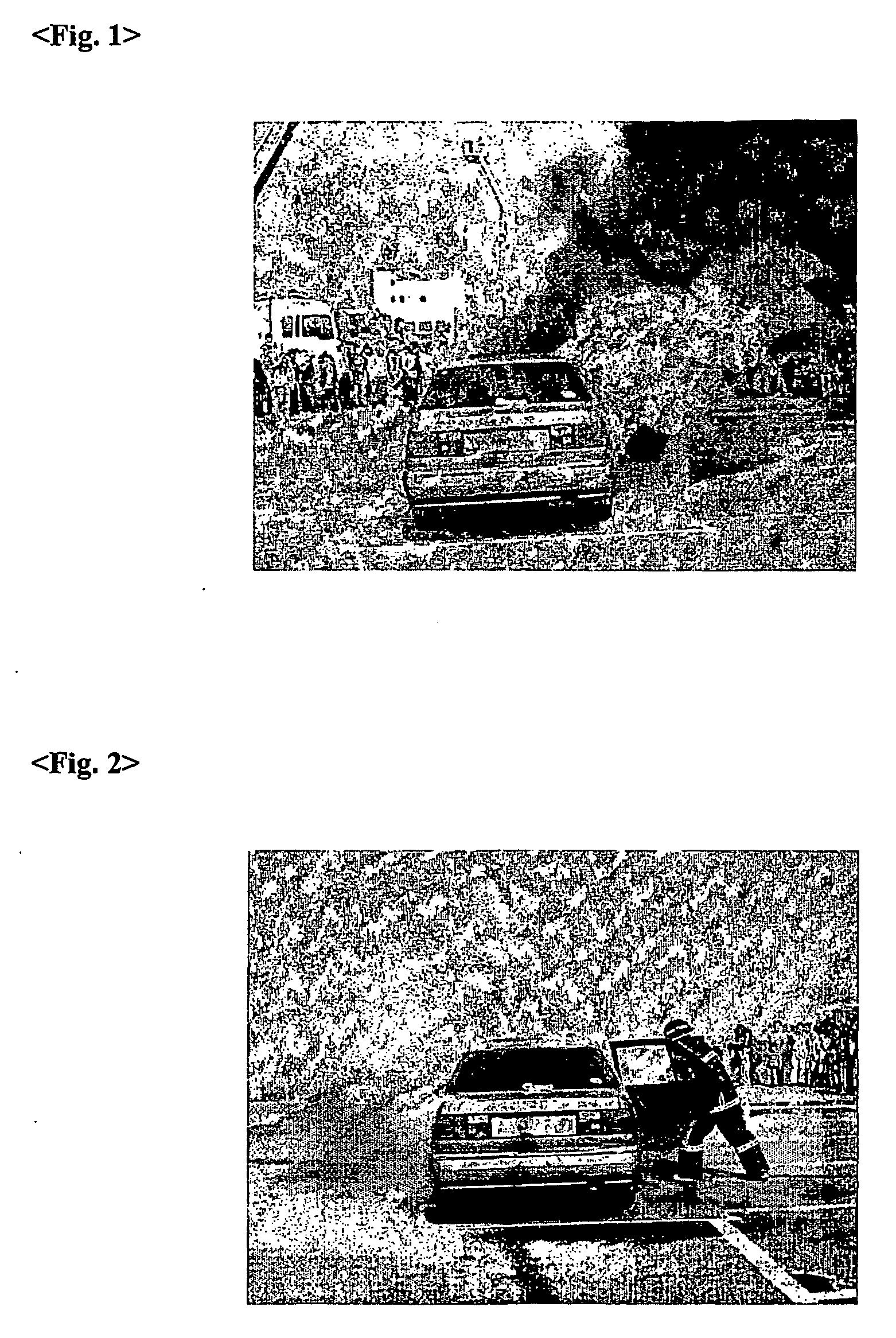 Composition for action of resist-fire and fire-extinguishing