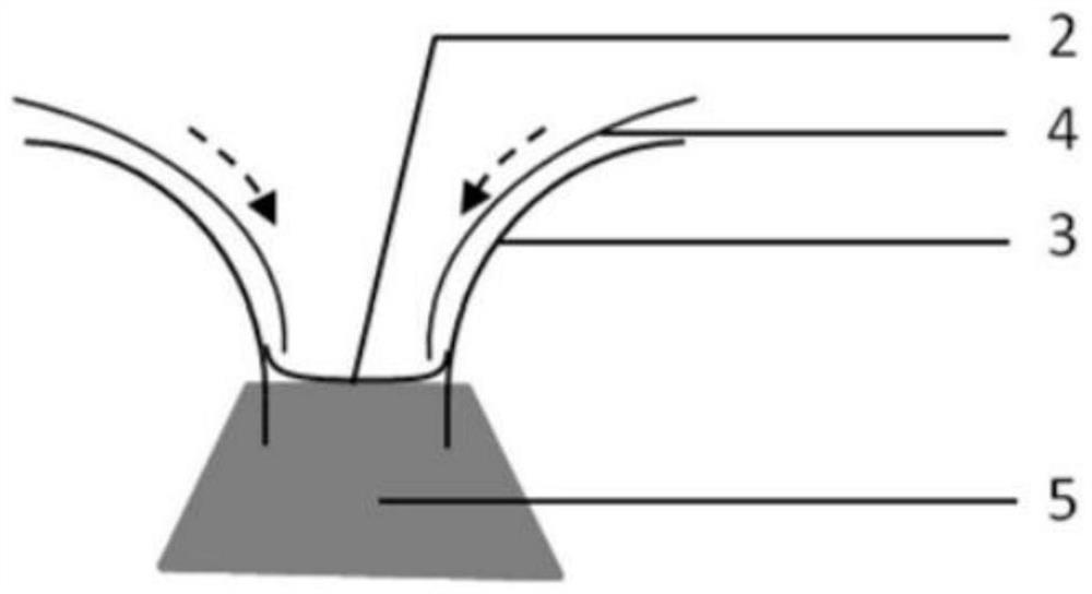 Rainwater diversion facility for breeding greenhouse