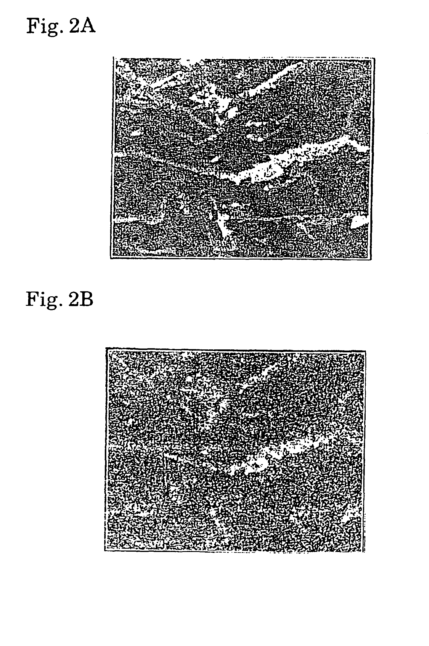 Thermoelectric conversion material and method of producing the same