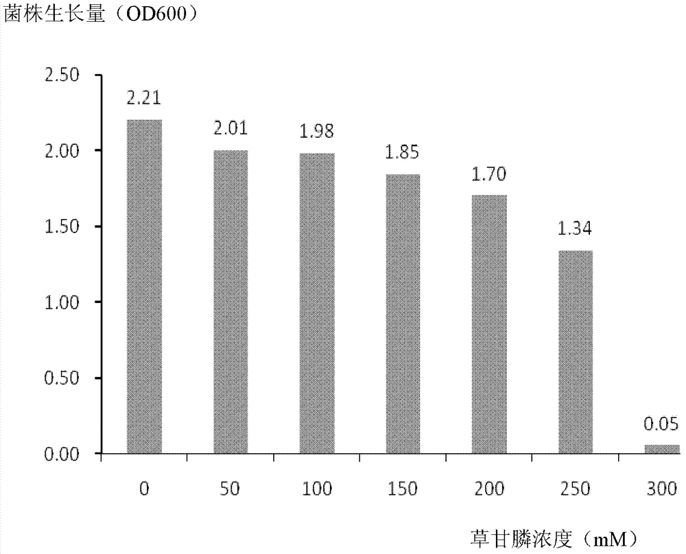 Nitrogen-fixing Klebsiella sp. with high anti-glyphosate activity and its application