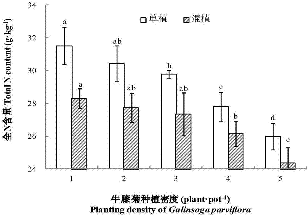 Mixed cropping method of galinsoga parviflora with different densities and leafy vegetable kind lettuce under cadmium stress